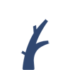 Servicii chirurgicale